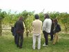 winerytour